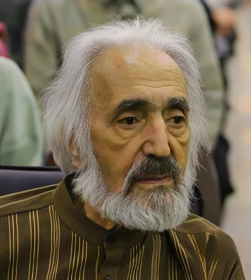 محمود بینای مطلق